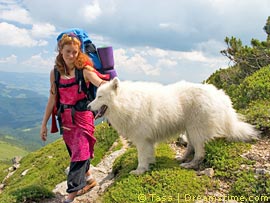 Mit Hund am Vierwaldstättersee
