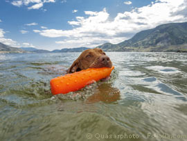 Hundeurlaub in Graubünden